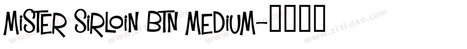 Mister Sirloin BTN Medium字体转换